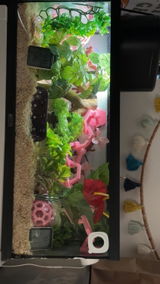 Etsy customer review photo