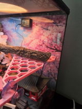 Etsy customer review photo