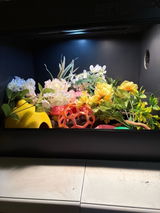 Etsy customer review photo