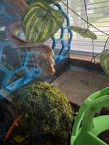 Etsy customer review photo