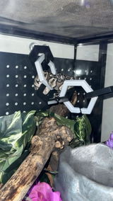Etsy customer review photo