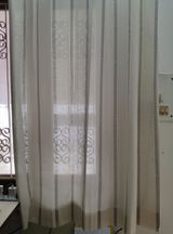 Vatsala review photo