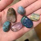 Savannah P review photo