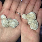 Savannah P review photo