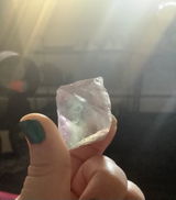 B E review photo