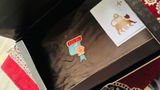 Safva review photo