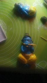 Stephey Raj review photo