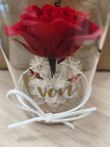 Chua review photo