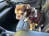 Letty’s Papa review photo