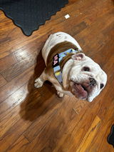 Amanda review photo