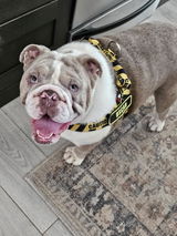 Mary Bivins review photo