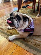 Elle Bee review photo