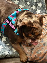 Dorothy Palomares review photo