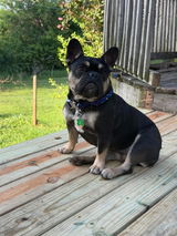 Stacy review photo