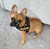 Ann Marie review photo