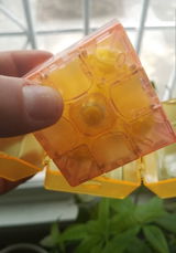 Sebastian G. review photo