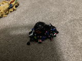 Paxton review photo