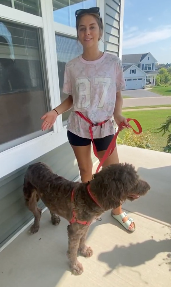 Hero Collar™ - Patented No-Pinch Buckle