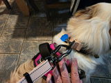 Vicki B. review photo