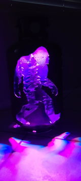 Joy from FL review photo