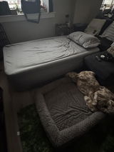 Verified Buyer review photo