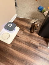 Maddie review photo