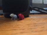 J S. review photo