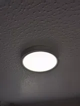 Thomas review photo