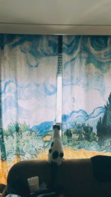 Nadin B. review photo