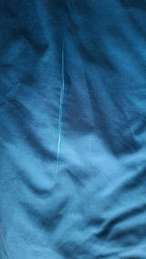 Dilek K. review photo