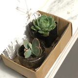 Marissa review photo