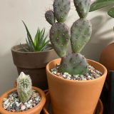 Loretta Prieto review photo