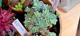 Wendy Stephany review photo