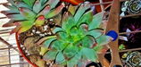 Wendy Stephany review photo