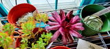 Wendy Stephany review photo