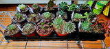Wendy Stephany review photo
