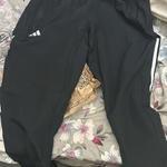 shankyy review photo