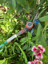 Jill C. review photo