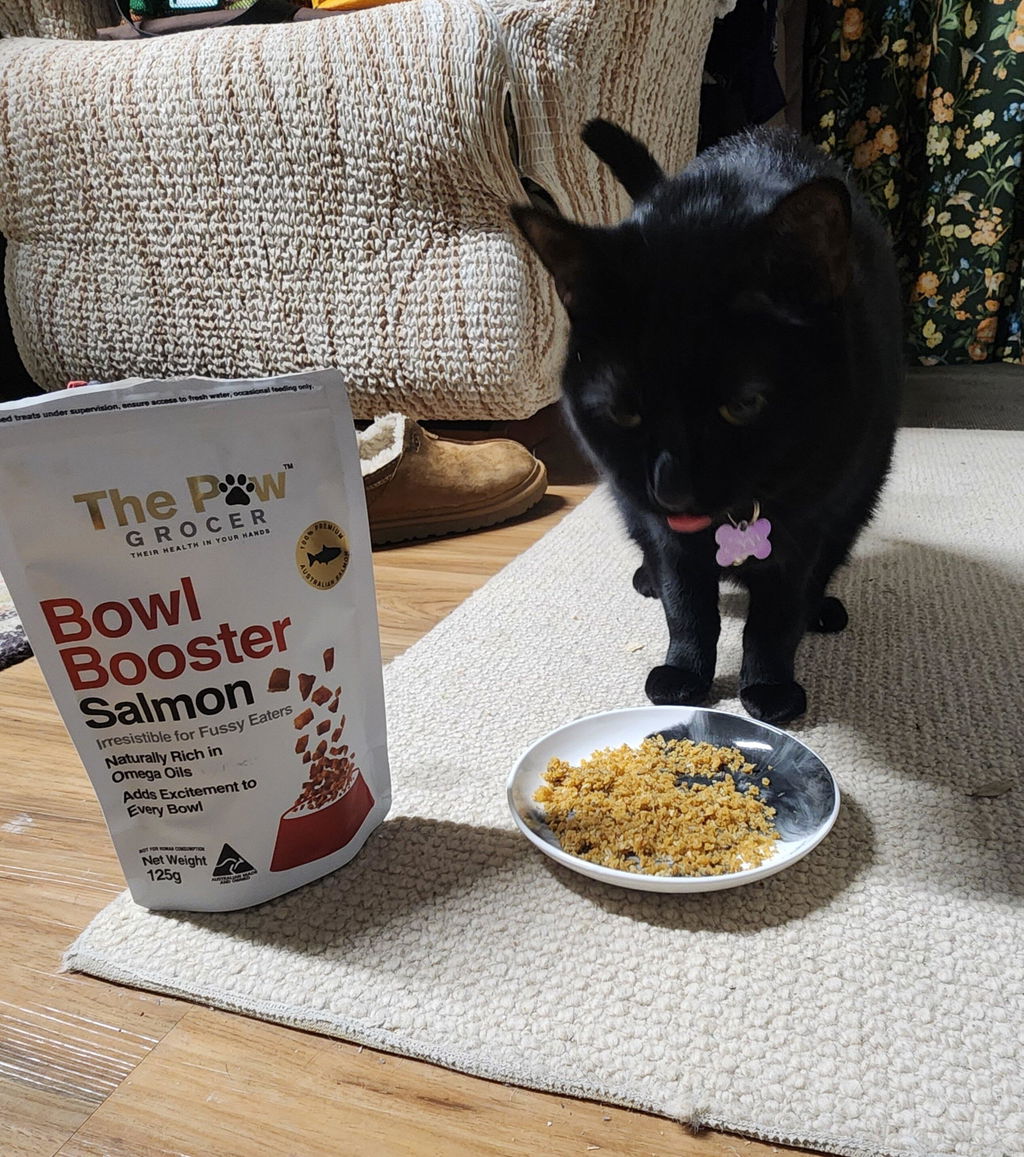 Bowl Booster - Salmon 125g