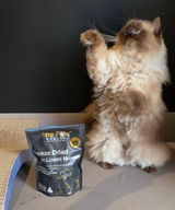 @lifewithlittlewhitelions review photo