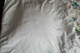 Veronika K. review photo