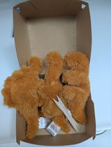 Kat review photo