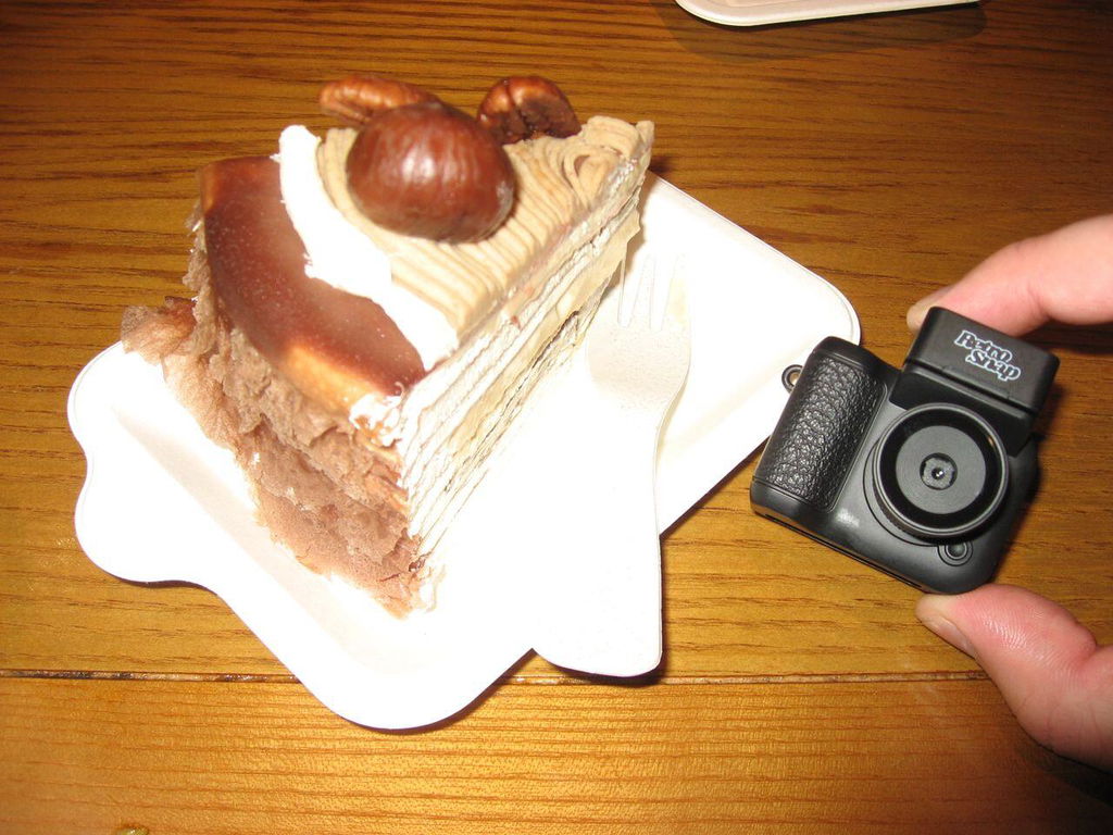 theretrosnap