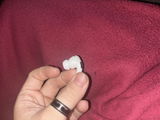 preston p. review photo