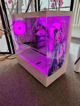 Alexander Wenzel review photo