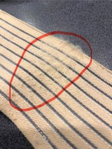 Ryan review photo