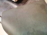 Tanmay Pandey review photo