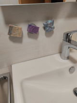 Doris review photo