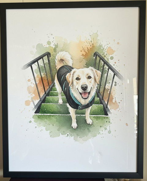 Fur Baby Forever — Custom Watercolor Pet Portrait | Personalized Canvas & Frame Gift India