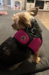 Tracy L Sack review photo